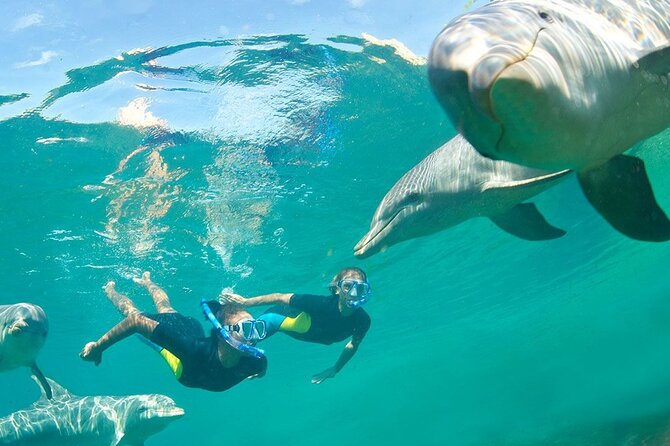 Full Day Snorkeling and Dolphin Watching in Hurghada - Accessibility Information