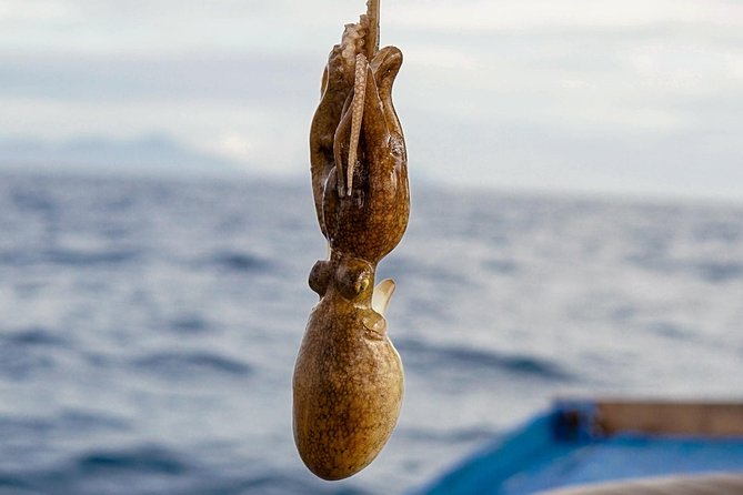 Full-day Snorkeling & Fishing Tour In Southern Phu Quoc Island - Booking and Cancellation Policy