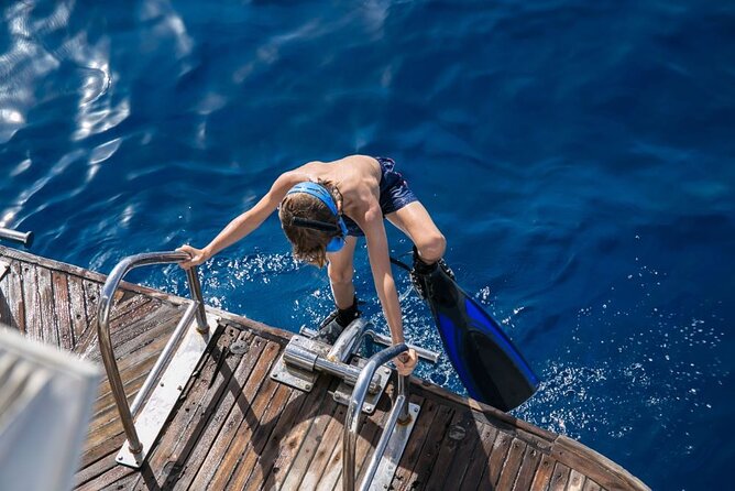 Full-Day Snorkeling Trip at Paradise Island in Egypt - Book Your Paradise Island Adventure