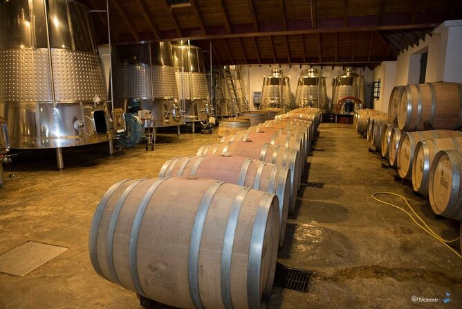 Full Day Tour in Silves With Wine Tasting - Snacks Included
