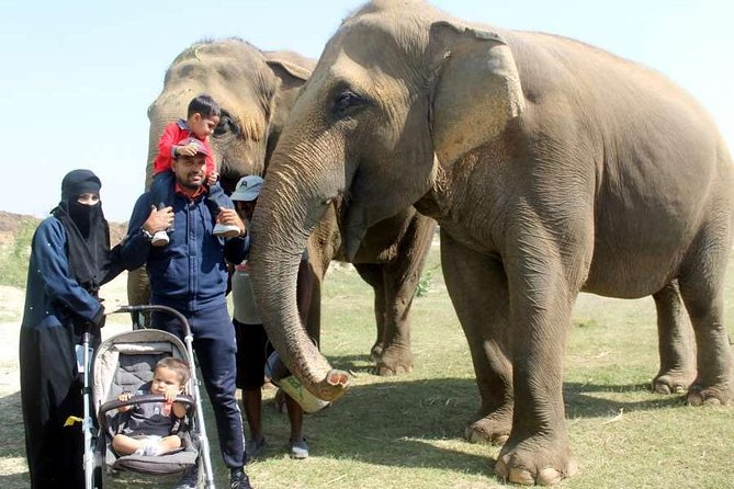Full Day Tour of Elephant Conservation and Bear Rescue Center - Important Reminders