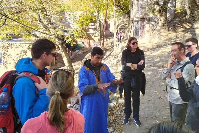 Full Day Tour to Atlas Mountains in Imlil Valley - Infant Seats and Maximum Travelers