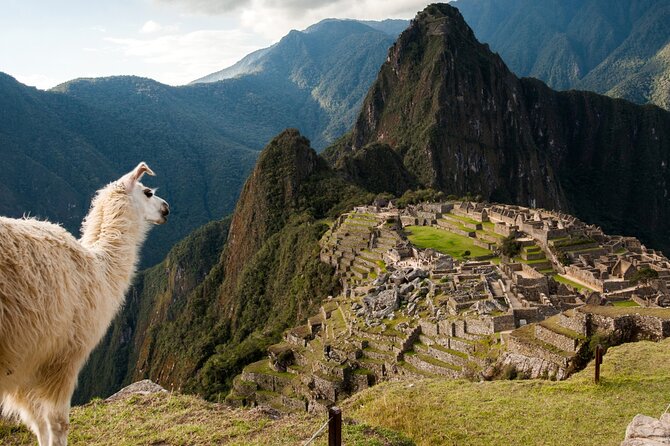 Full Day Tour to Machupicchu - Tour Overview