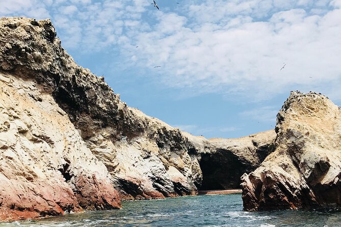 Full Day Tour to Paracas and Ica From Lima - Pricing and Booking