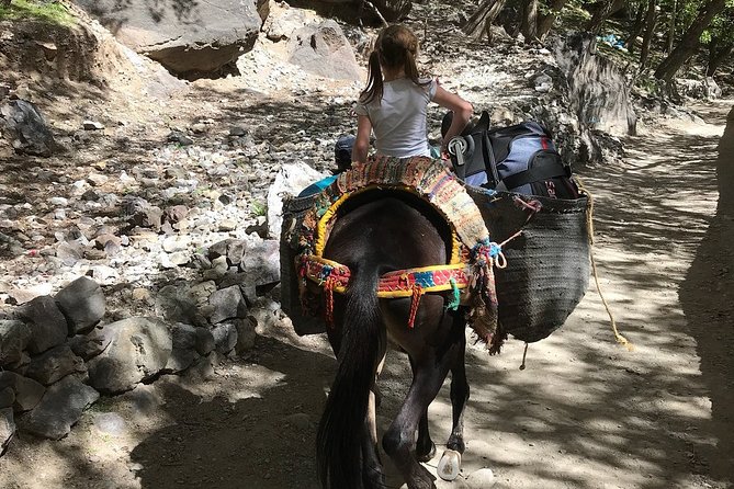 Full Day Trek to Atlas Mountains From Marrakech - Cancellation Policy