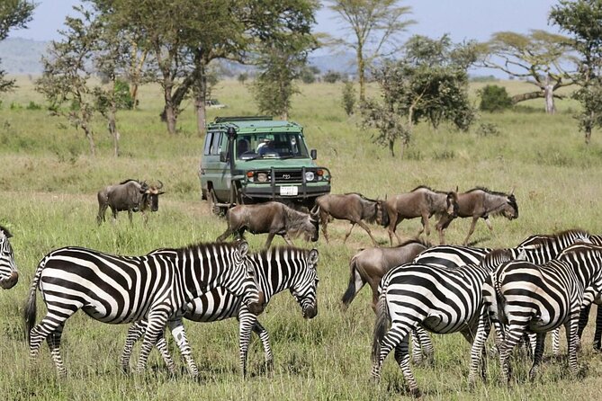 Full-Day Trip at Arusha National Park - How to Reserve Your Spot