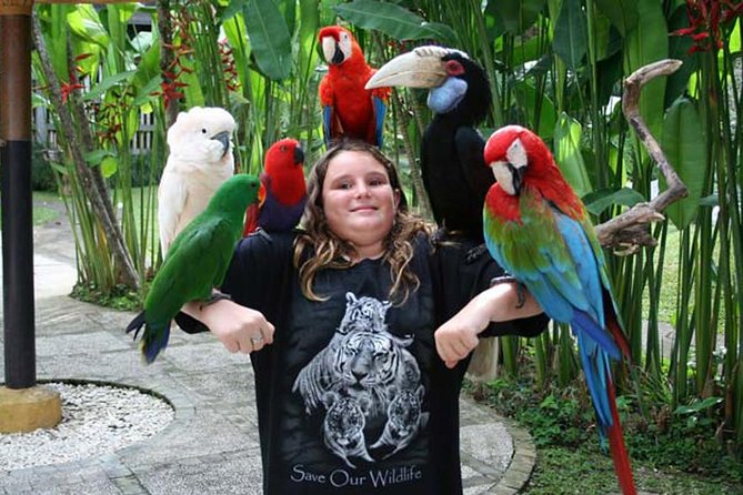 Full Day Trip Bali Bird Park And Kintamani - Location Details