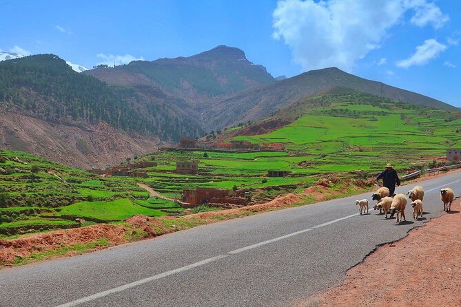 Full-Day Trip Berber Villages and Waterfalls From Marrakech - Cancellation Policy