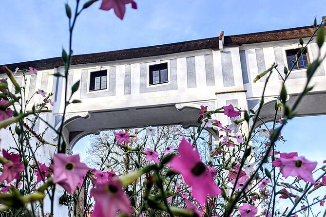 Full-Day Trip From Prague to ČEský Krumlov - Private - Inclusions