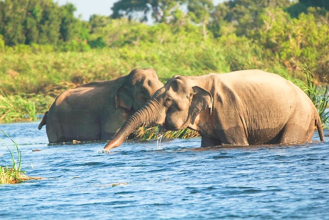 Gal Oya National Park Safari - Location and Directions