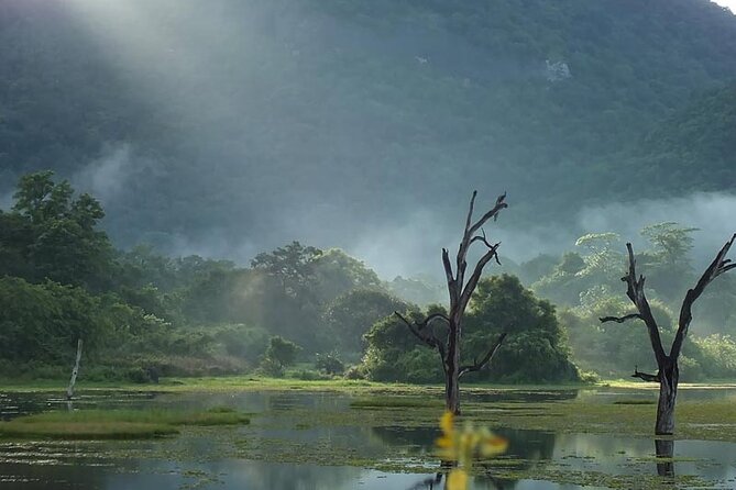 Gal Oya Safari and Vedda Safari Day Trip From Pasikuda/Kalkuda - Optional Activities and Transfers