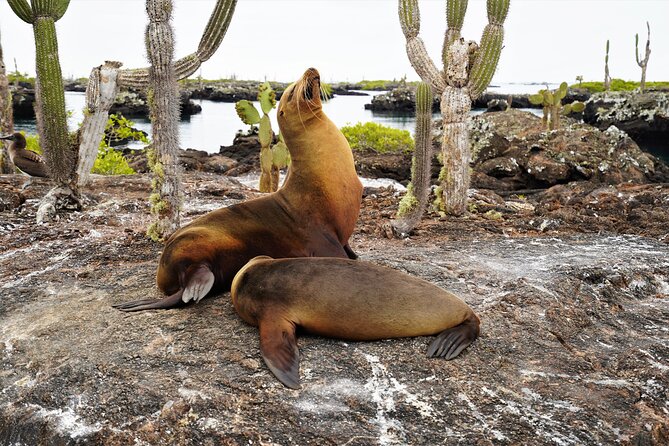 Galapagos Multisport Expedition 8 Days - Important Information for Travelers