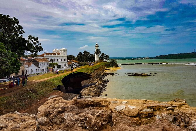 Galle Day Execution - Frequently Asked Questions