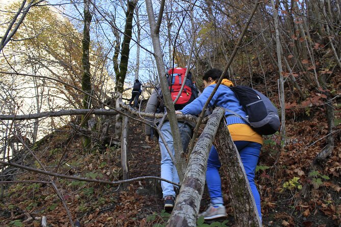 Garanohur Lake Hiking Tour - Price Information