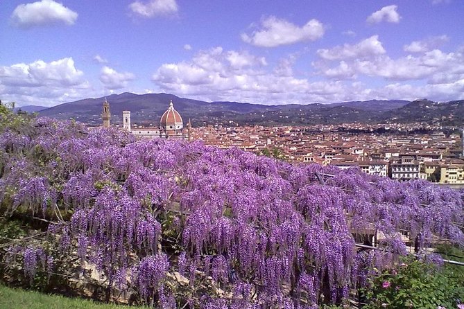 Gardens of Florence Private Walking Tour - Additional Information