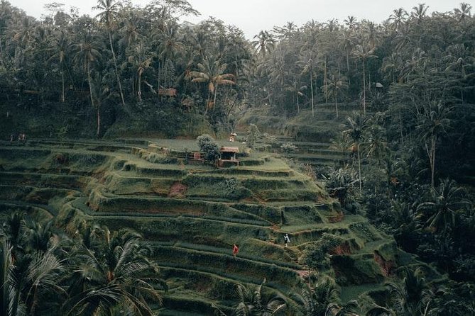 Gates of Heaven & Hidden Gems: Bali Insta Tour - Cancellation Policy and Reservation