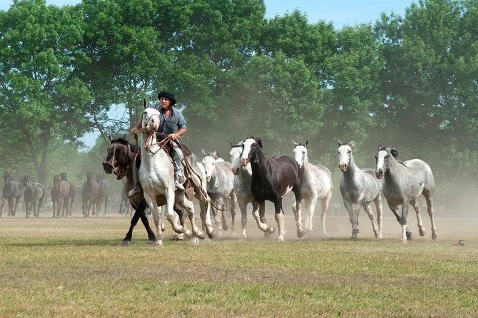 Gaucho Fiesta With Lunch - Full Day Tour - Language Options