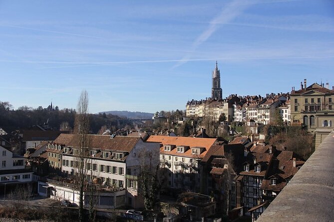 Geneva Full Day Private Trip to Interlaken and Grindelwald - Booking Process