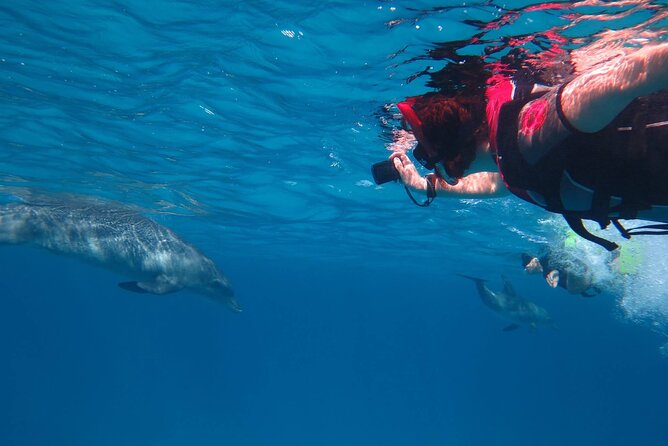 Giftun Island, All Day Trip With Snorkeling - Additional Info and Requirements