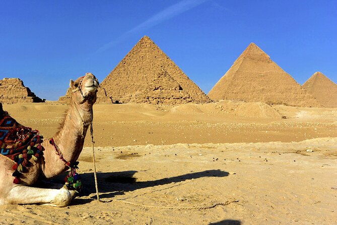 Giza Pyramids and Sphinx Day Tour - Traveler Requirements
