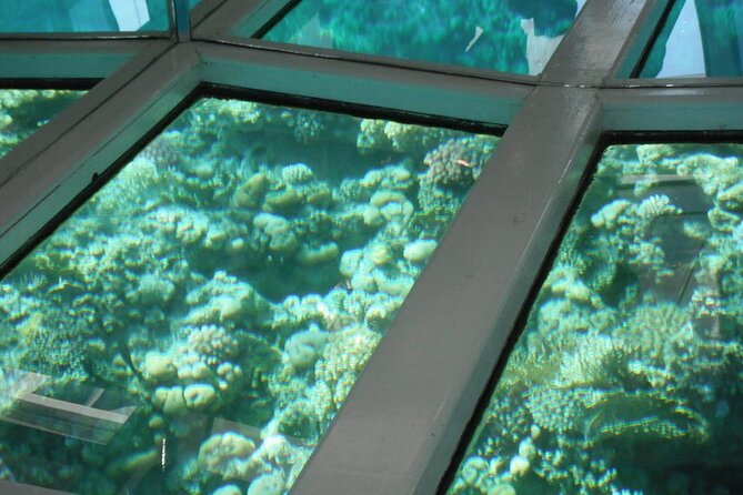 Glass Bottom Boat Private Tour From Sharm El Sheikh - Payment Options Available