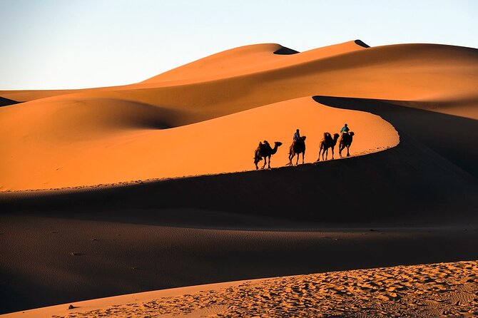 Gobi Desert, Flaming Cliffs & Ger Under Stars: 5-Day Tour - Booking Confirmation