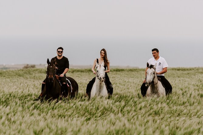Greek Village Horse Riding Tour With Caldera View - Customer Review