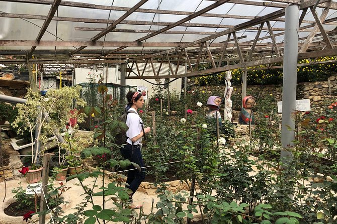 Guided Cameron Highland Day Tour From Kuala Lumpur (Private Basis) - Cancellation Policy