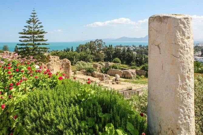 Guided Carthage and Sidi Bou Said Half Day Tour With Lunch - Transportation Details