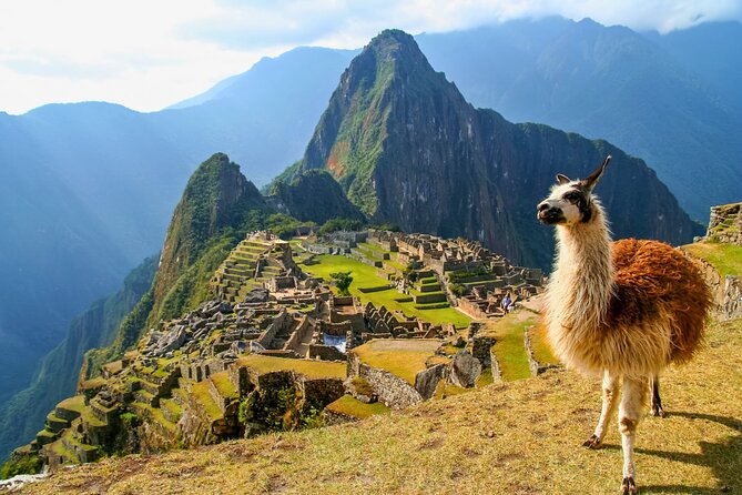 Guided Machu Picchu Full Day Tour - Inclusions