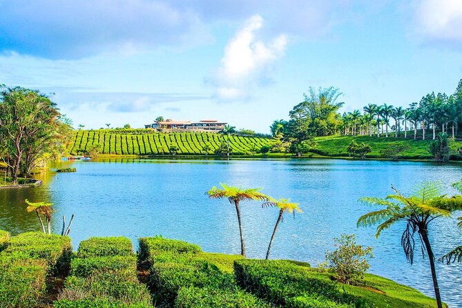 Guided Tea and Sugar Tour of Mauritius With Lunch - Garden Features