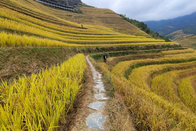 Guilin Longji Rice Terraces and Yangshuo Liusanjie Light Show Day Tour - Cancellation Policy