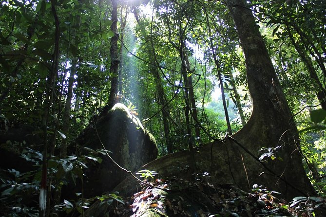 Gunung Gading National Park Tour - Safety Precautions