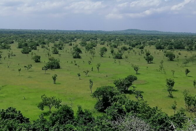 Half Day Accra Safari Private Tour - Meeting and Pickup