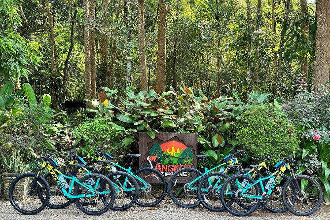 Half-Day Bike Tour in Angkor Park - Price and Booking