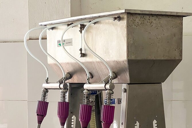 Half-day Fish Village & Vietnam Rhum Tasting - Price and Booking Details