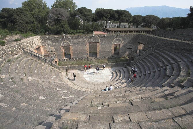 Half Day Guided Sorrento and Pompeii Tour With Lunch From Naples - Directions and Tips