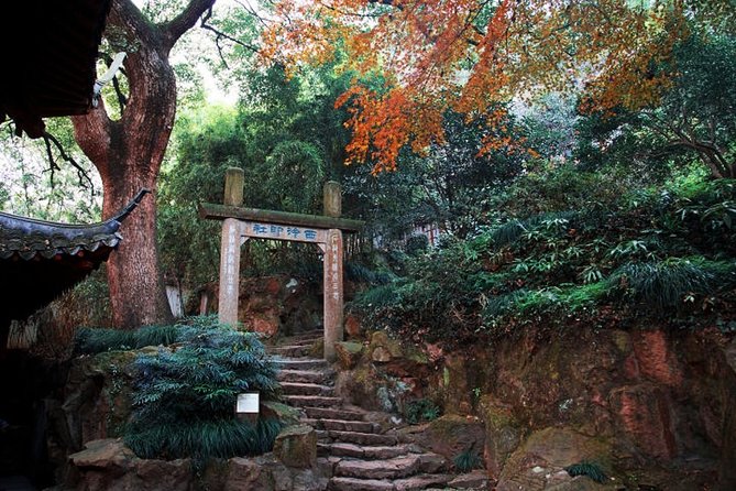 Half-Day Hangzhou Jiuxi Stream and Tea Plantation Experience - Tour Details