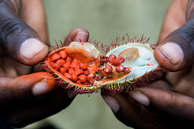 Half-Day Jozani Forest and Spice Farm Guided Tour - Booking and Availability
