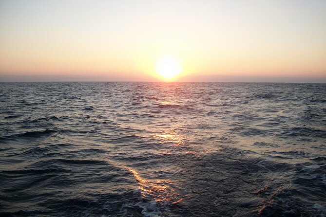 Half Day Private City Tour by Sailboat From Bari - Operating Hours
