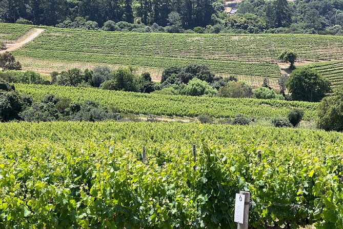 Half Day Private Wine Tasting Tour in Constantia - Cancellation Policy
