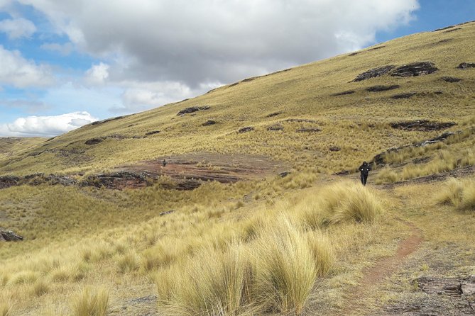 Half Day Tour Portal Aramu Muru From Puno - Additional Information