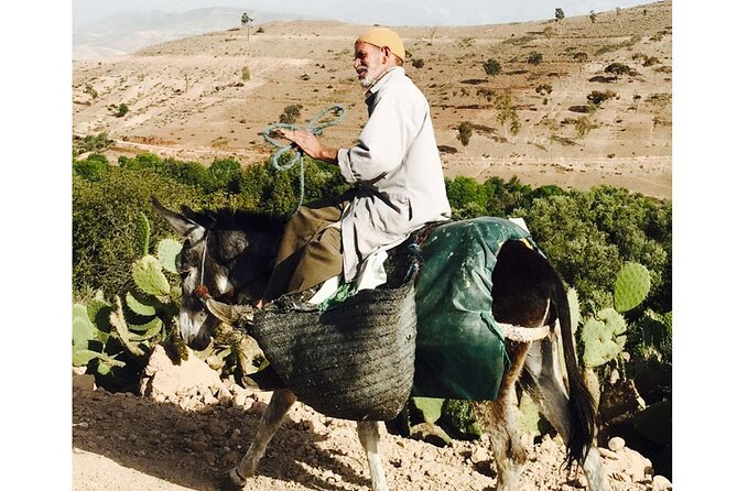 Half-Day Tour to Agafay Desert and Lake Takerkoust With Horseback Ride - Tour Highlights