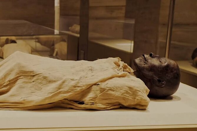 Half Day Tour to the National Museum of Egyptian Civilization - Cancellation Policy and Reservation