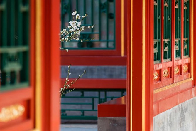 Half Day Tour to Tiananmen Square and Forbidden City With a Cup of Drink - Cancellation Policy Guidelines