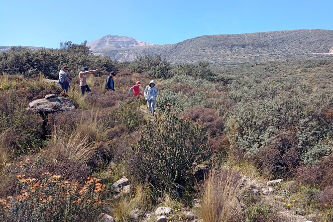 Half Day Trekking In Arequipa - The Sum Up