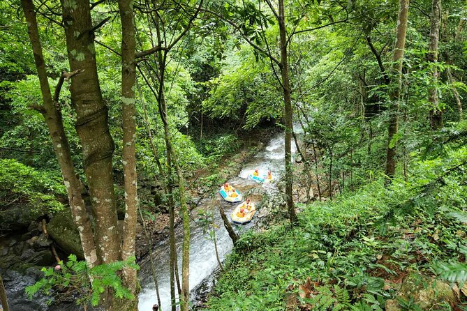 Half-day Yangshuo Xingping Longjing River Drifting Private Tour - Availability and Schedule