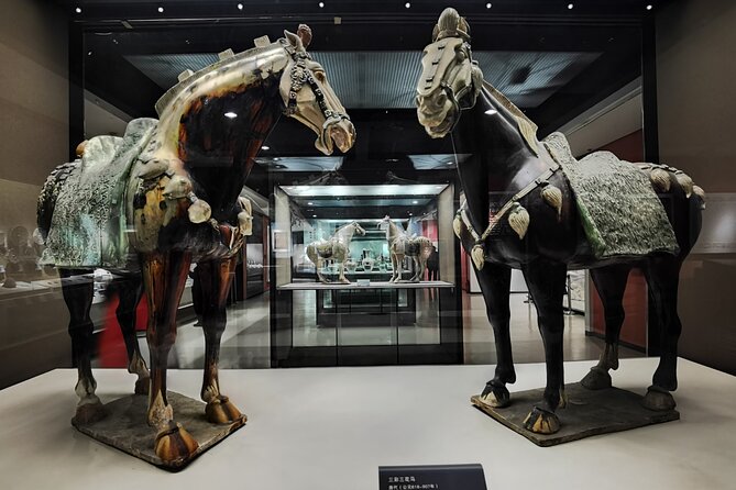 Hanyangling Museum English-speaking Guide Service - Health and Safety Guidelines