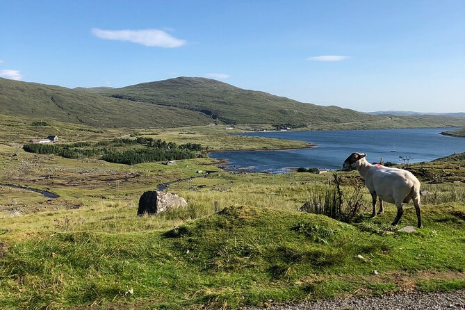 Hidden Gems of the Highlands: Quaint Villages & Highland Cows - Cultural Immersion