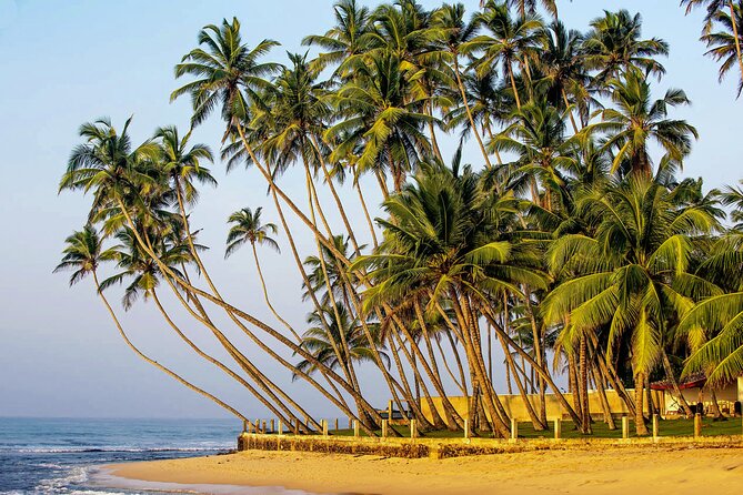Hidden Temples and Secluded Coastlines Tour From Galle - Hidden Temples to Explore